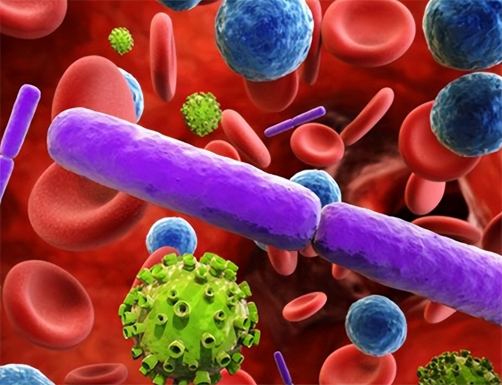 ​女性3个地方痒，或不是过敏，可能是HPV来“敲门”，别不当回事