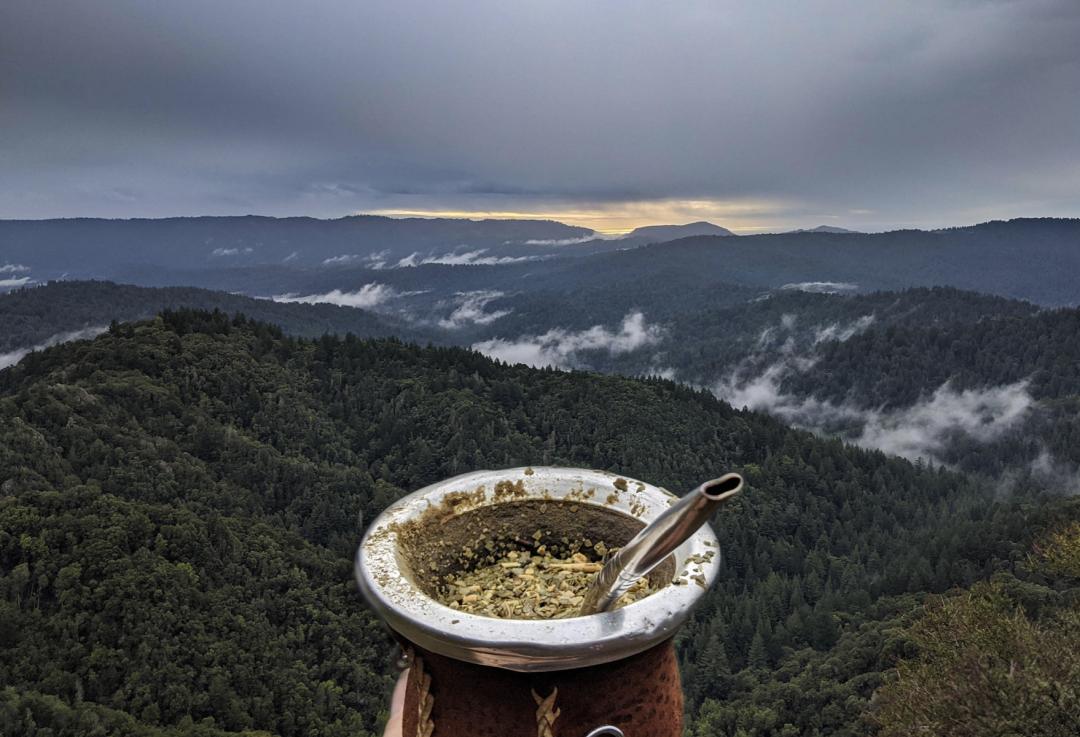 盘点阿根廷夺冠路,回顾阿根廷的夺冠之旅