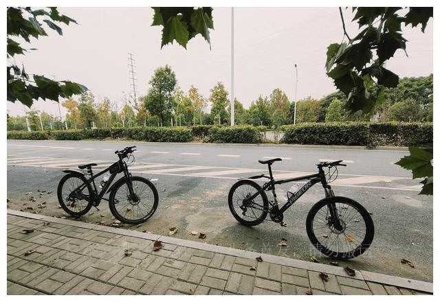 美利达捷安特哪家好,喜德盛美利达捷安特哪个实体店多