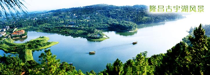 【诗词】我的长江是一棵树（外四首）‖罗学娅