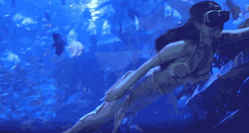 滨州海底世界5.1演出时间表,滨州海底世界39.9团购票