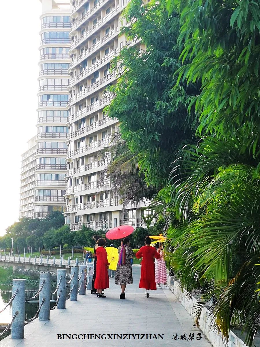 旅居海南：九所新区的浪漫情