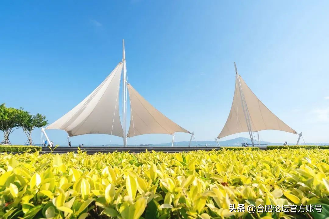 合肥6月特价机票,合肥出发全国旅游团购