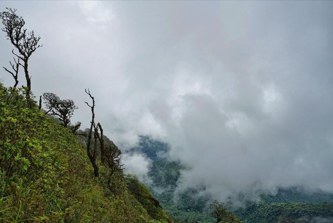 李商隐的夜雨寄北写于何年,李商隐的夜雨寄北表达什么