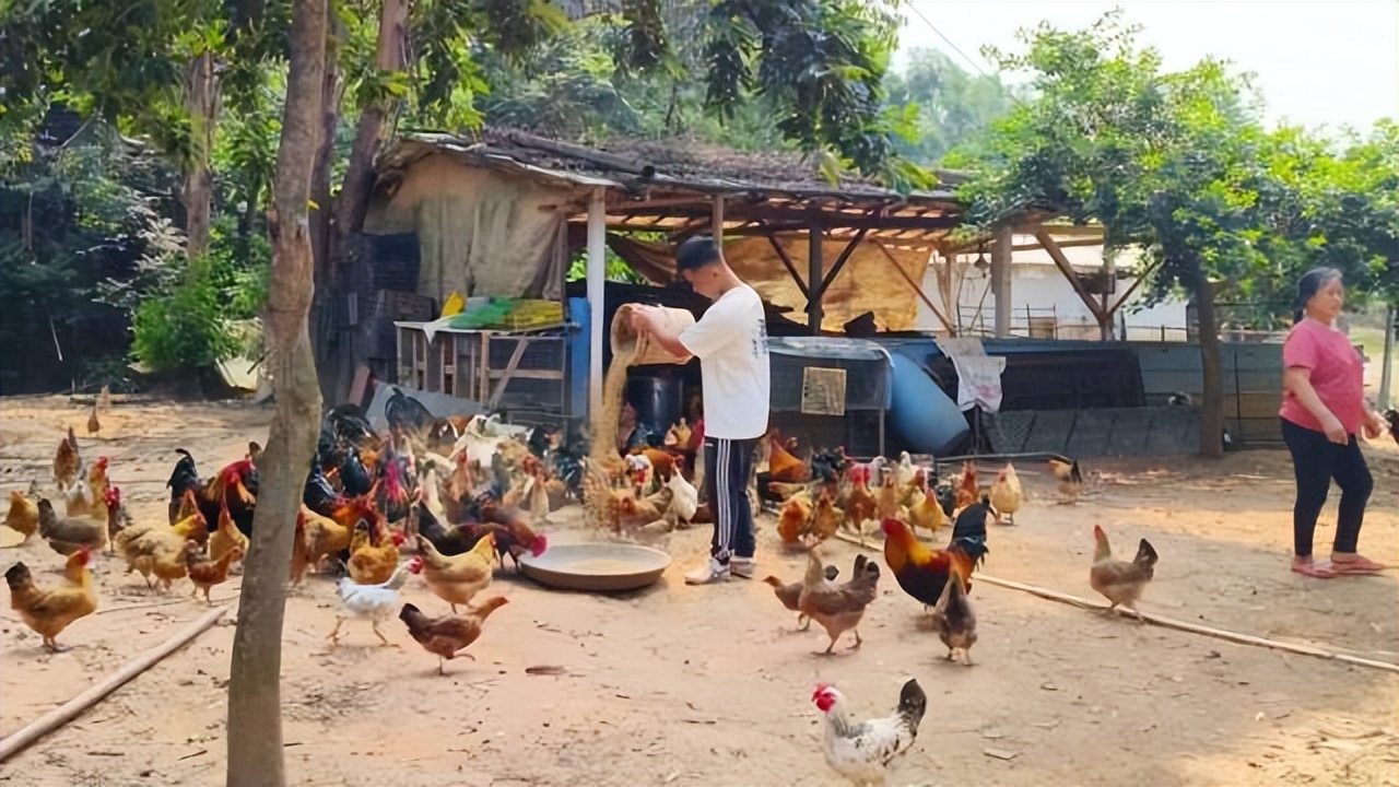 返乡创业新农人90后,创业90后新农人