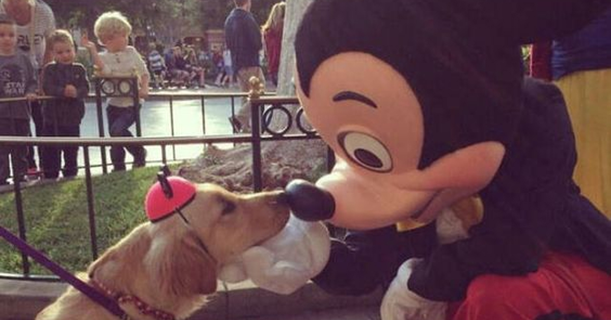 废弃迪士尼乐园吓人的照片,迪士尼乐园合拍照片