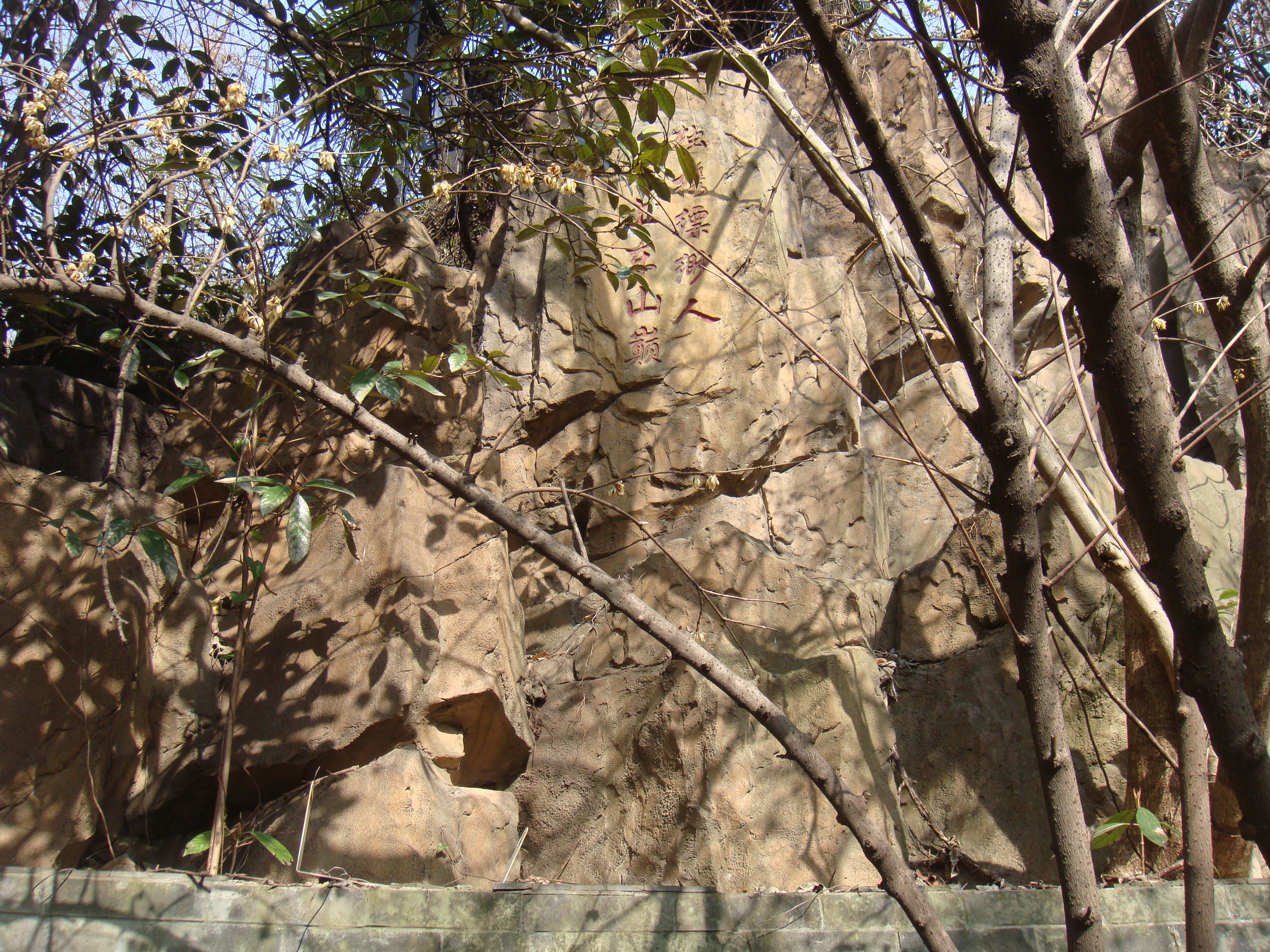 东山公园登顶看美景,东山公园景区游记