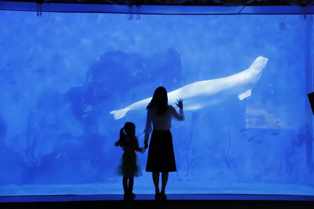 天津遛娃圣地,天津周末免费遛娃好去处