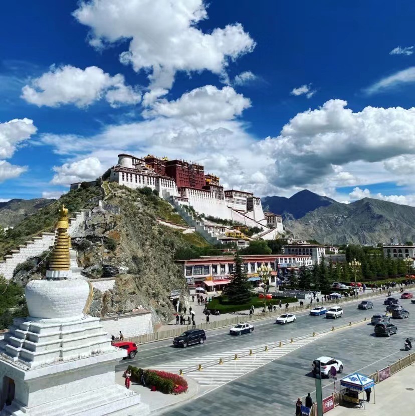 西藏好吃的藏菜,传统藏餐中必吃的美食