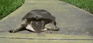 女子和同事打闹，用力过猛竟直接把*裤底**扯两半，羞得蹲地不敢起身