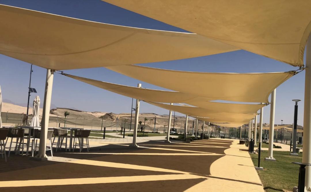 沙特换钱,沙特搞经济转型