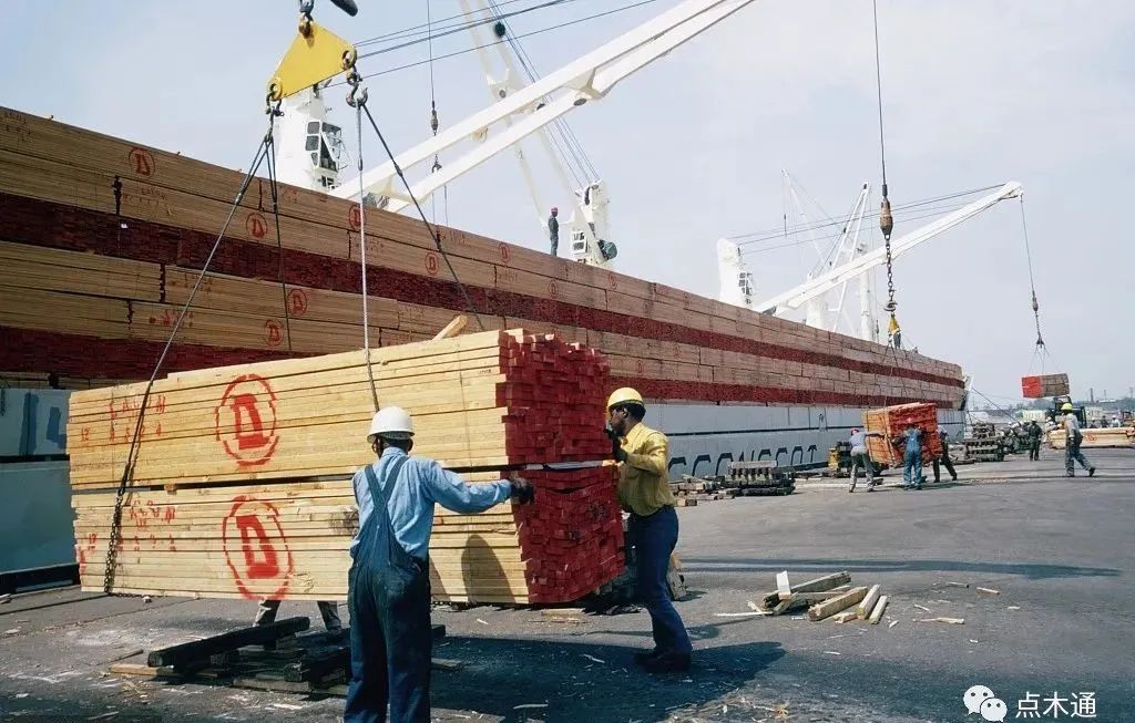 国内木材市场原木价格走势,木材价格市场播报