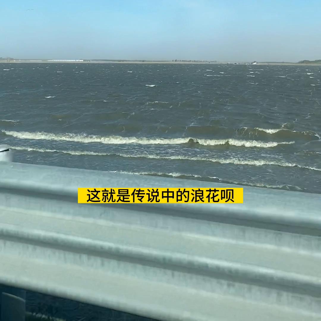 会做饭的男人最帅的一句话,人间烟火气最抚凡人心2019年11月