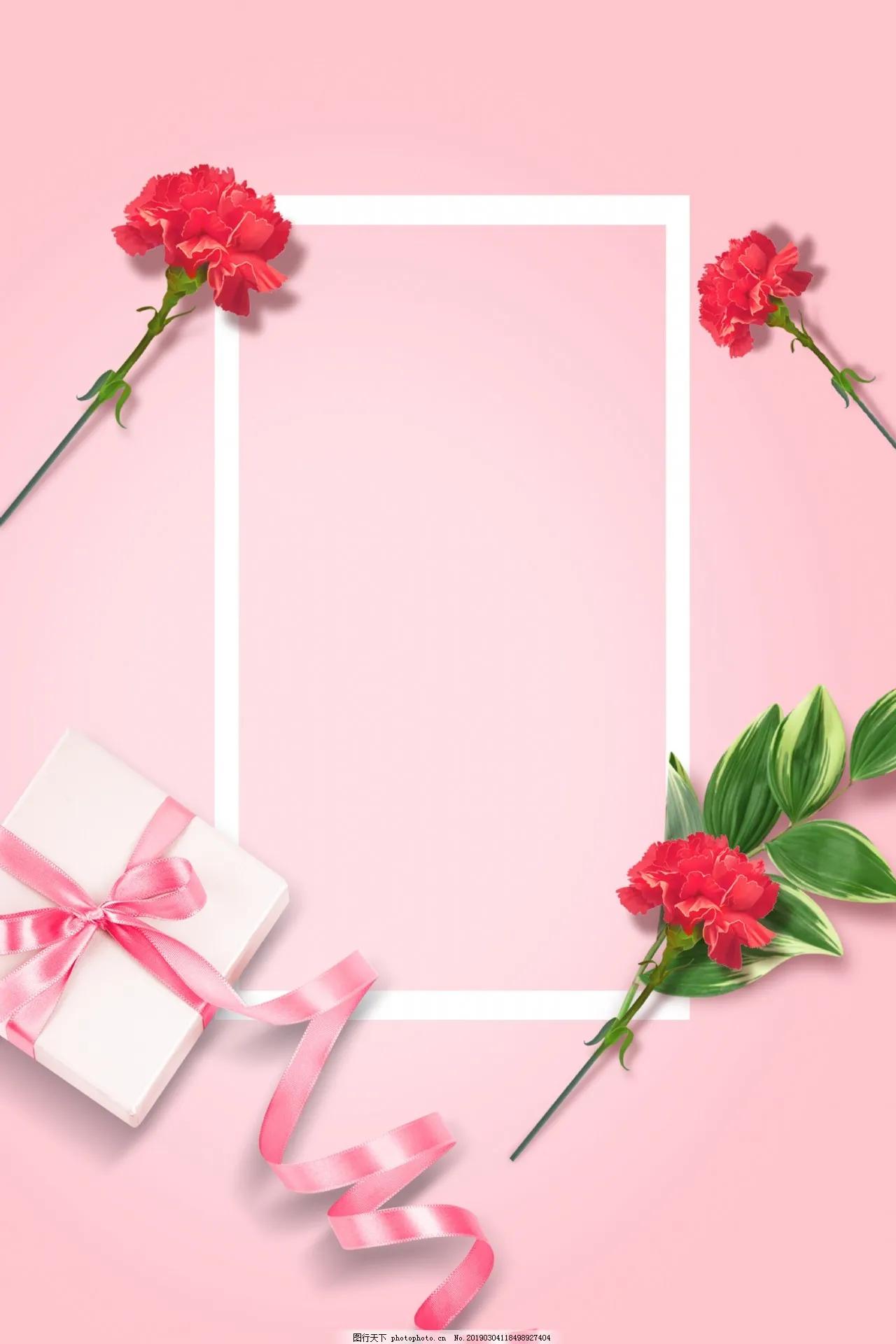 康乃馨花束壁纸,康乃馨壁纸手机超清全面屏