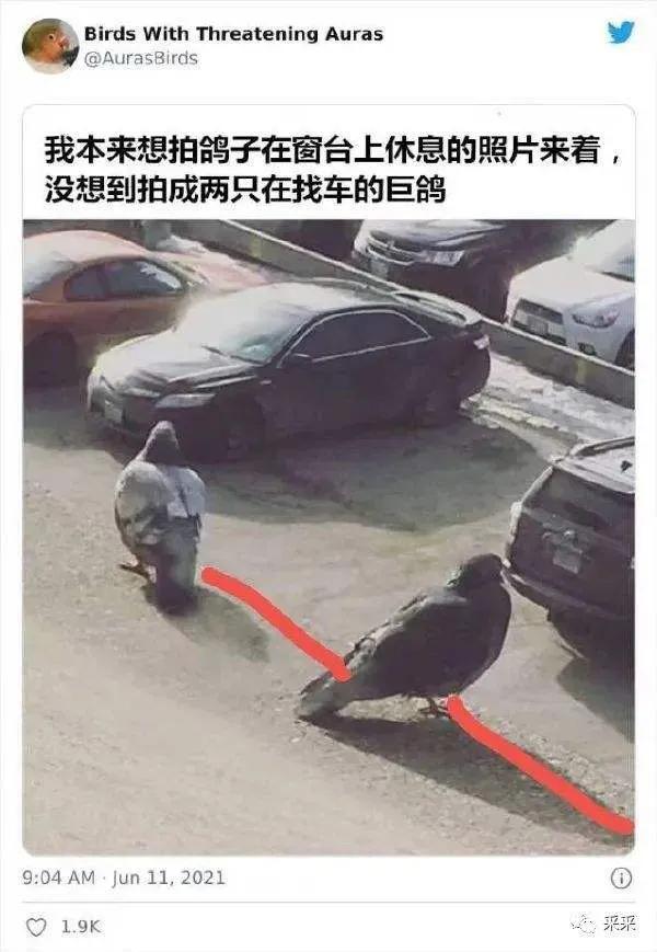 沙雕日报:网友:东北话太有意思了东北人:我也妹觉得有啥意思啊？