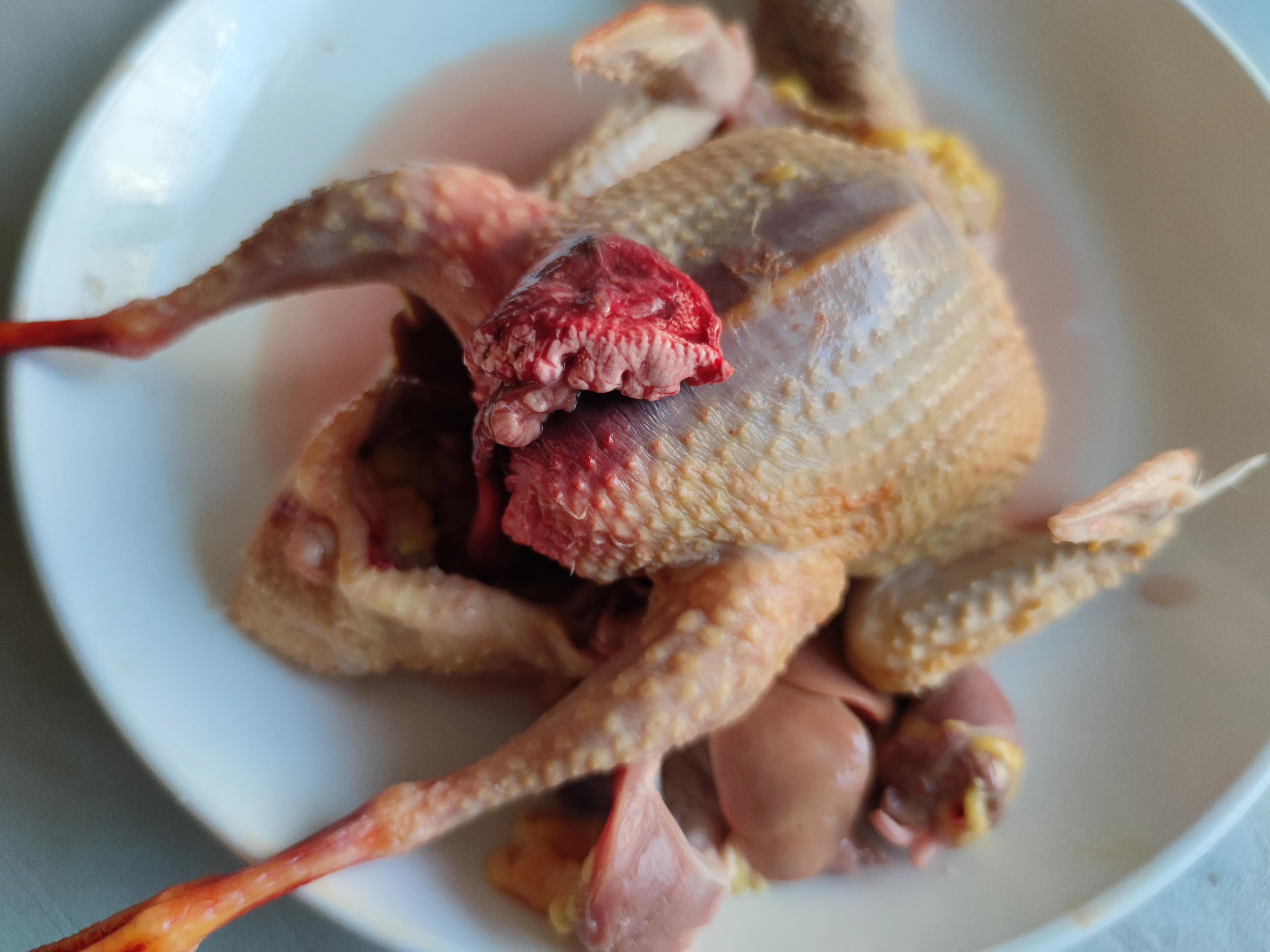 “一鸽胜九鸡”，杀鸽子到底用不用放血？鸽子该如何处理才美味？