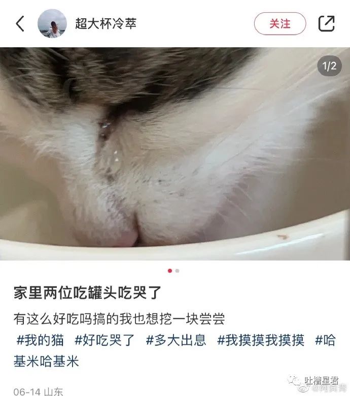 当代年轻人为什么感觉累,年轻人越来越累