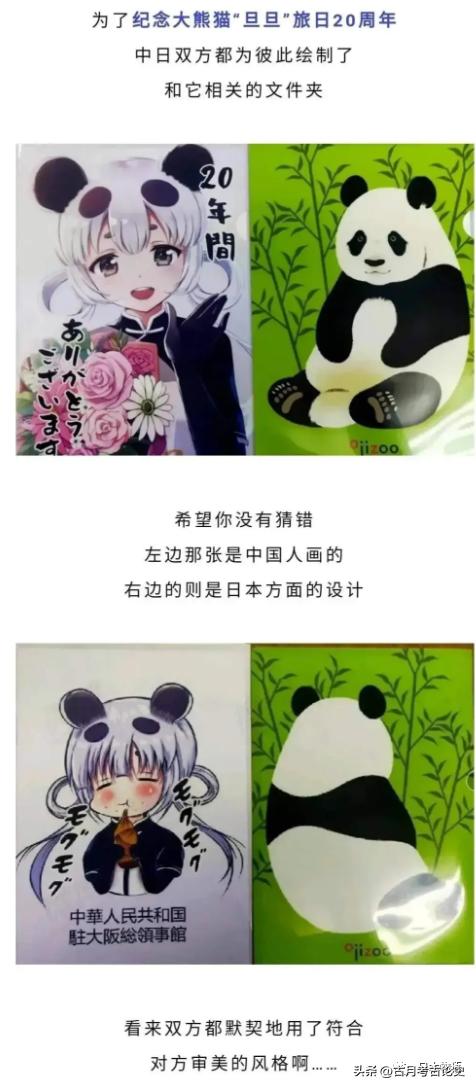 旅日大熊猫回国日本人反应,四只旅日大熊猫陆续归国