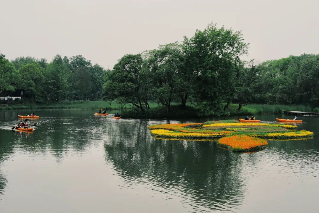 春天的潺潺溪水,春天的顶流