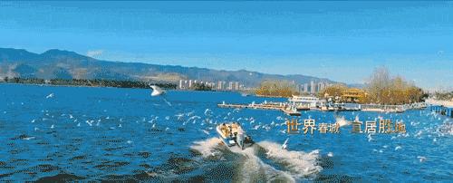 千亿房企中骏集团,千亿级别的中骏