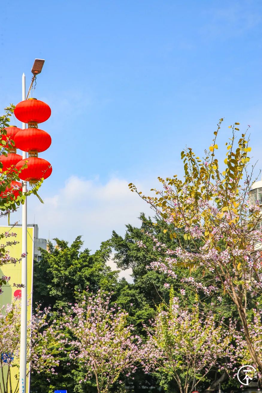 深圳有个什么富裕村,深圳有个村很出名