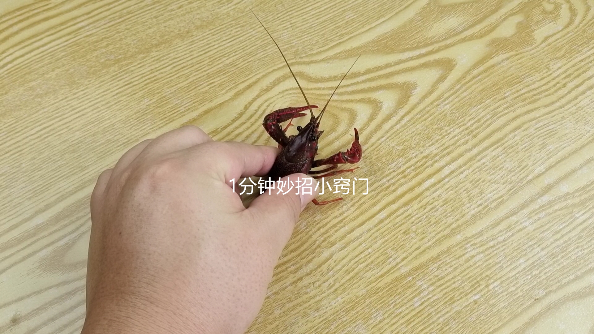 小龙虾前面是黄还是屎,小龙虾头上有黄色的屎吗