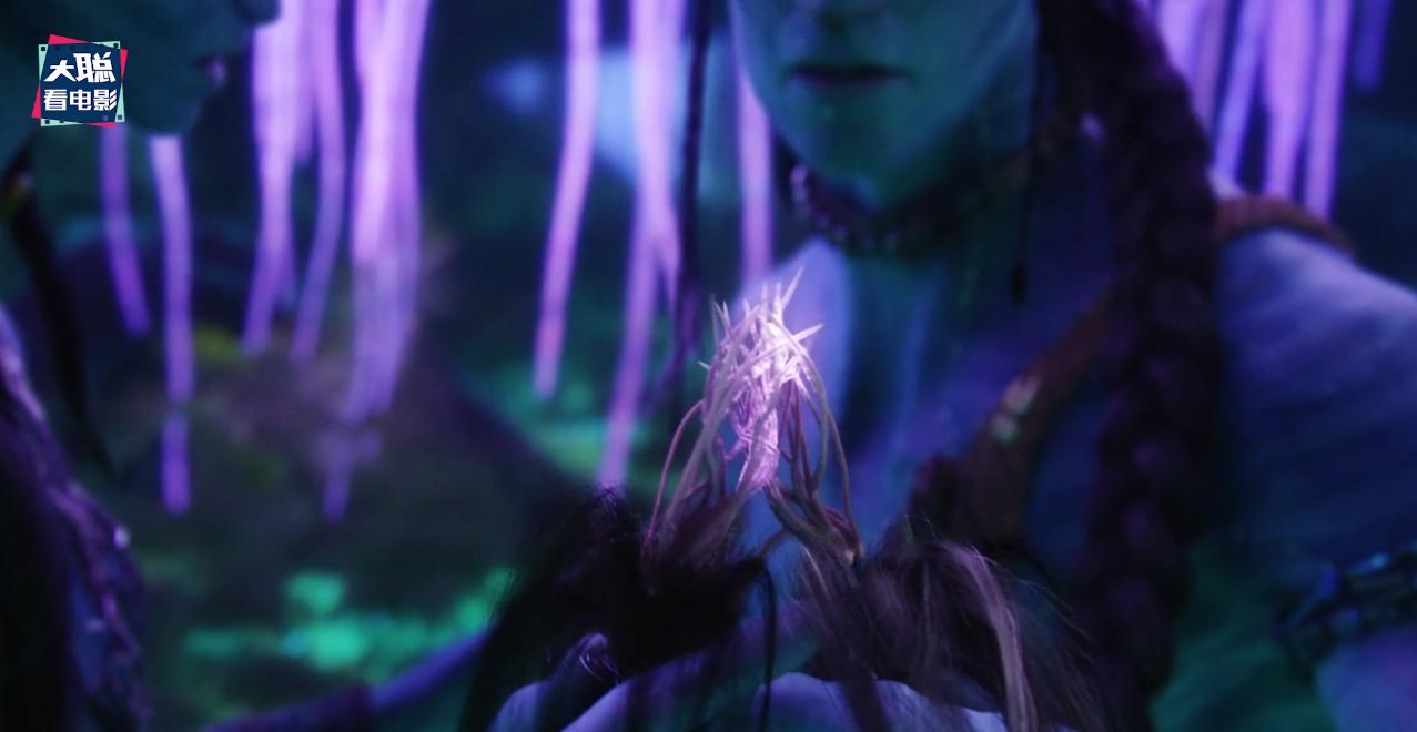 阿凡达解密,阿凡达2详细攻略大全