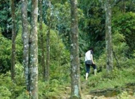 鏉戞皯鎶婄唺褰撶嫍鍏讳簡涓夊勾,琚潙姘戞敹鍏荤殑鐔婂唇