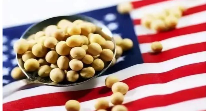 美国为何宁愿倒贴农民，也要把粮食出口到中国，暗地里有何阴谋？