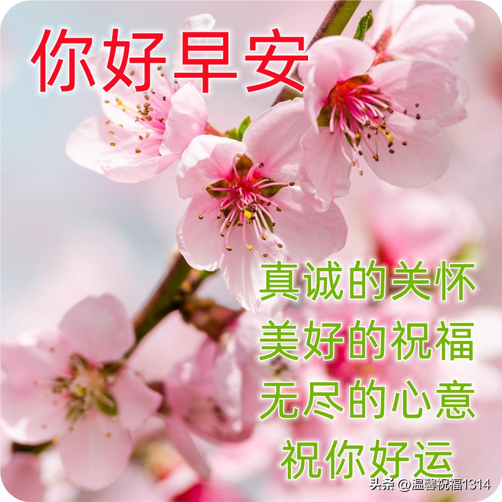 最新最美的早上好问候图片带字,早安问候图片2018年
