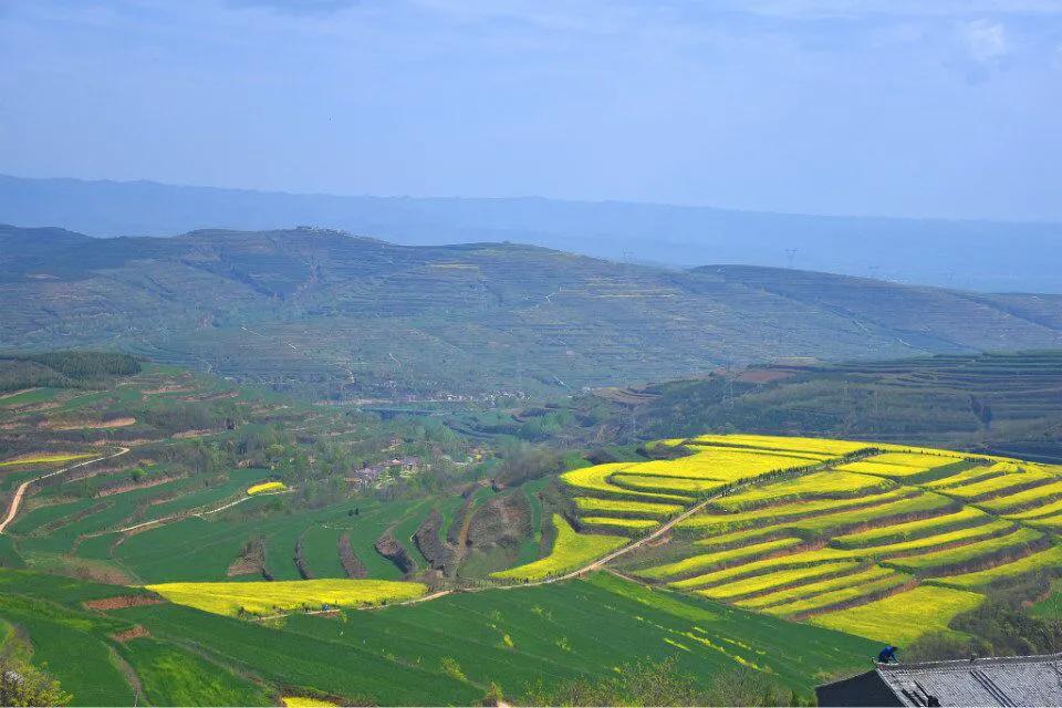 武功古镇姜嫄水乡有什么特色吃的,武功古镇姜嫄水乡天壶图片