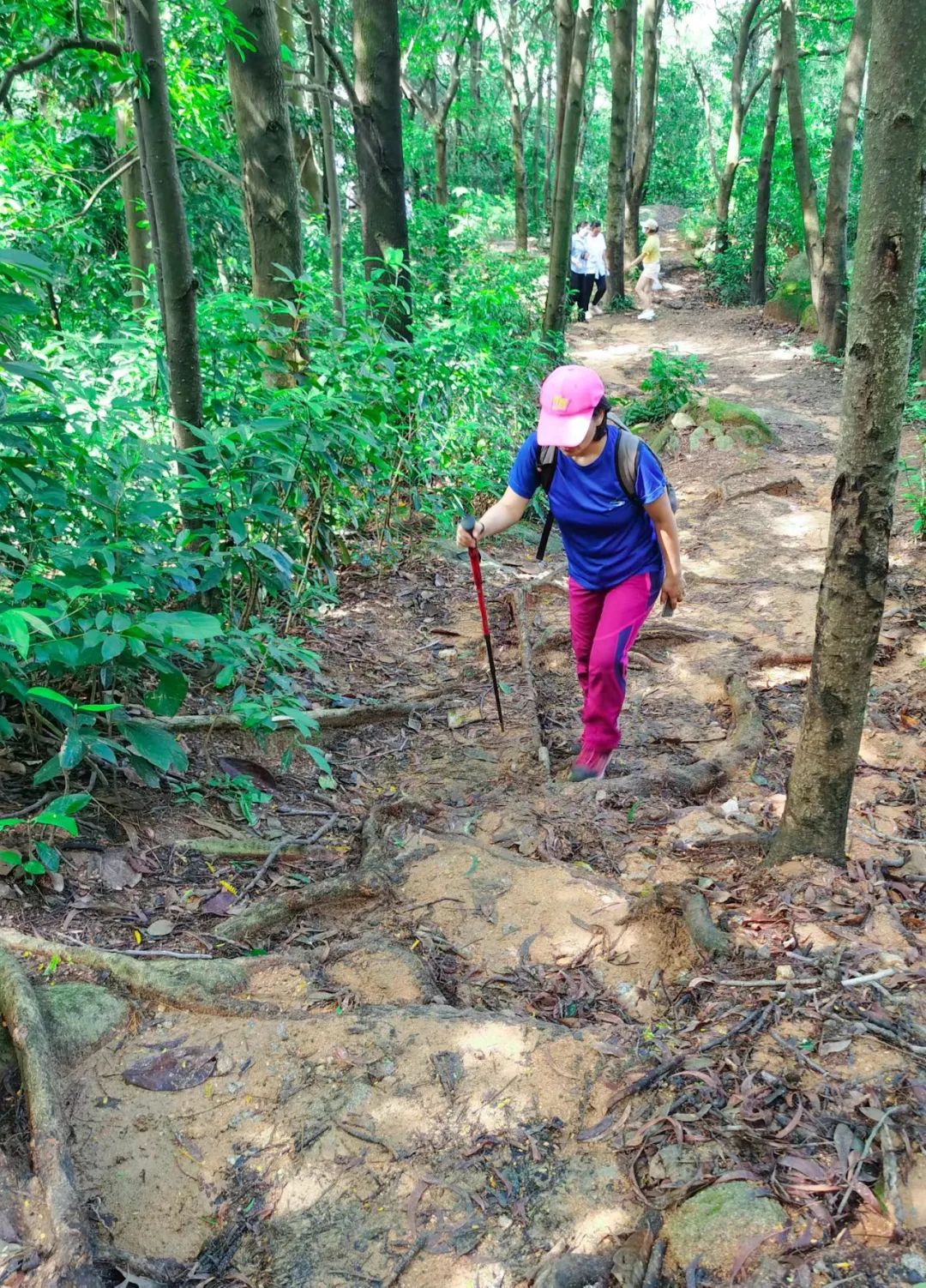 火炉山徒步登山路线图解,徒步中山铁炉山