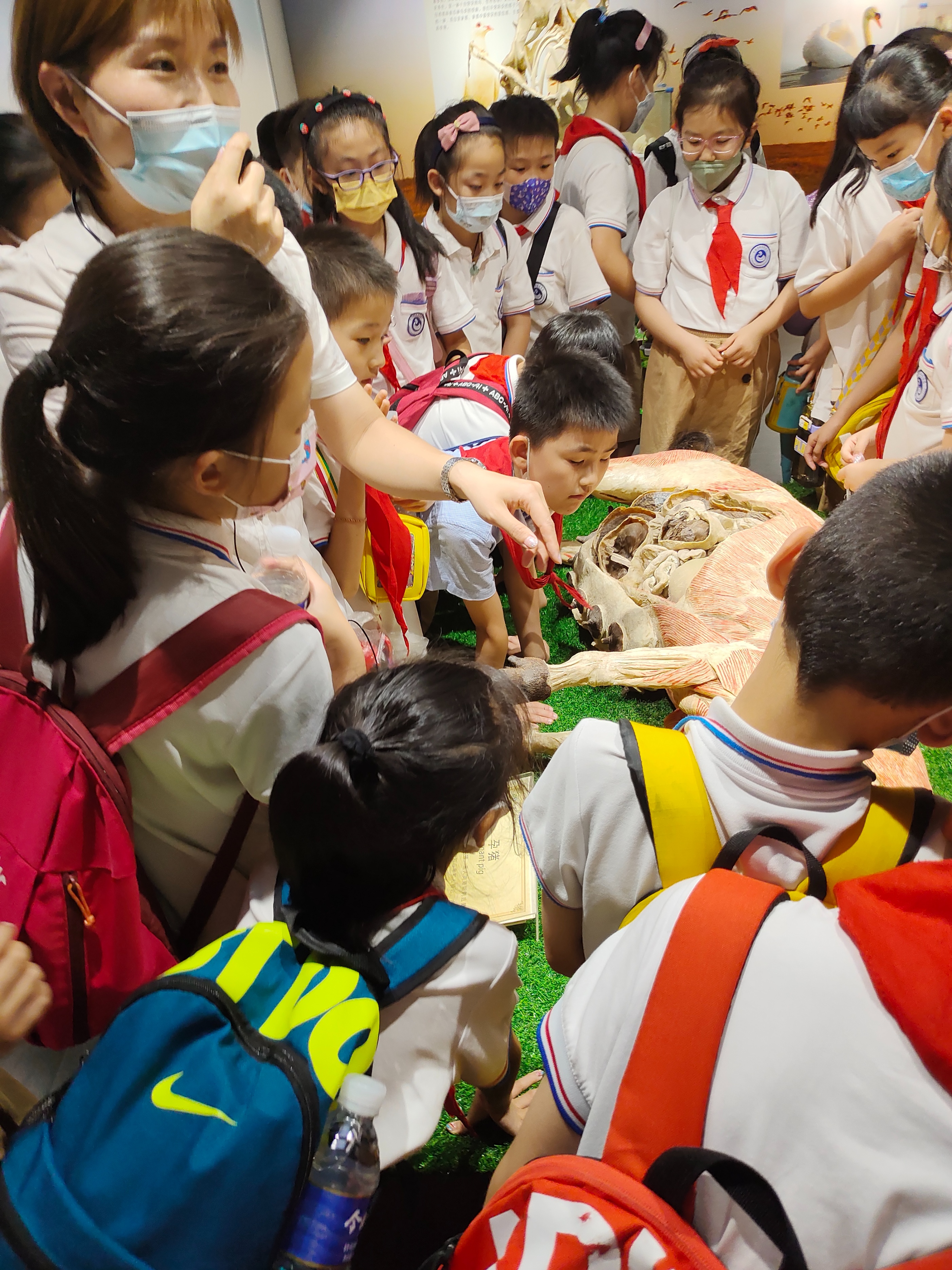 郑州生命自然科学馆,生命科学馆之旅