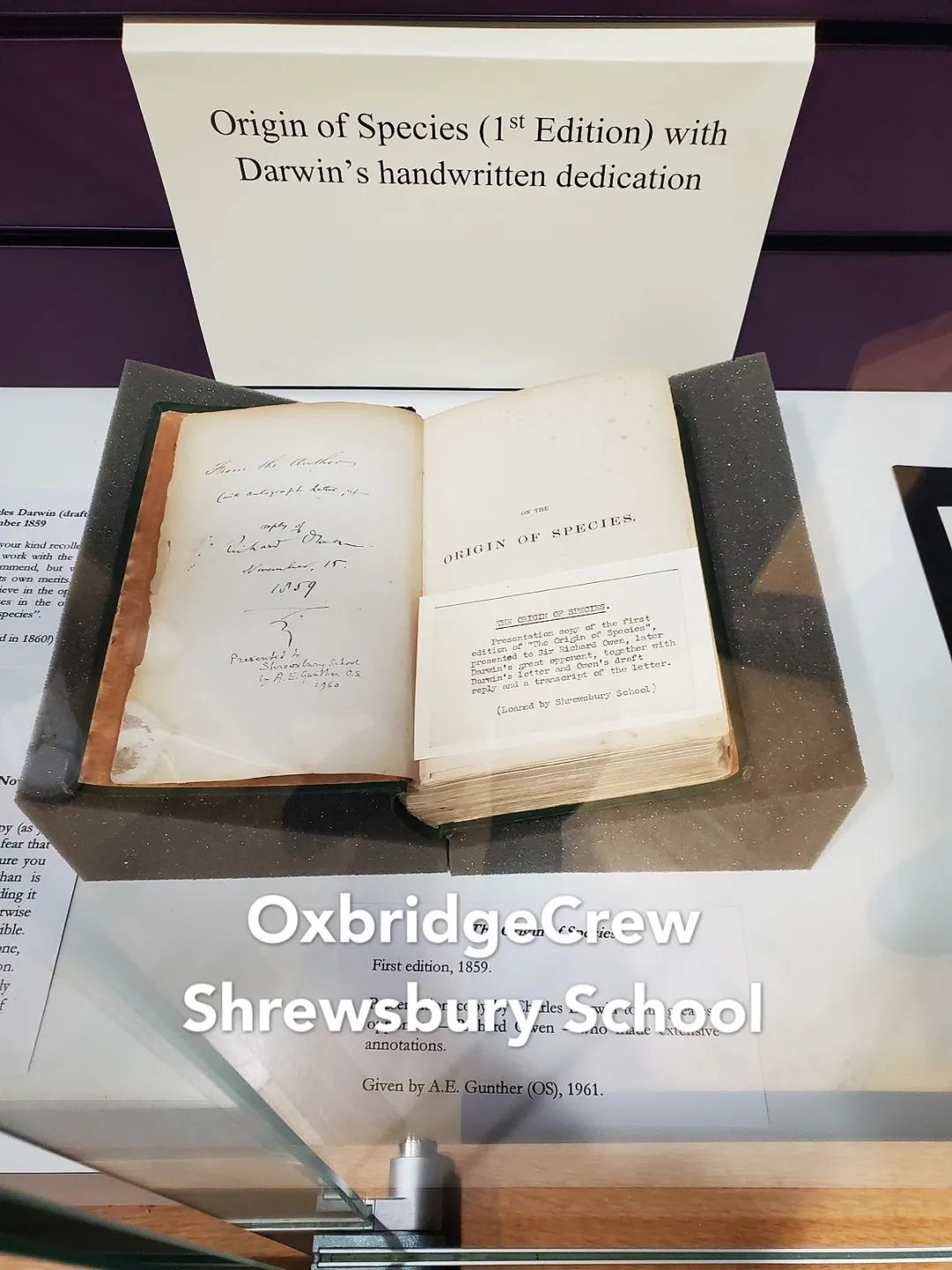 中国学生怎么考a-level,内地生考a-level是什么