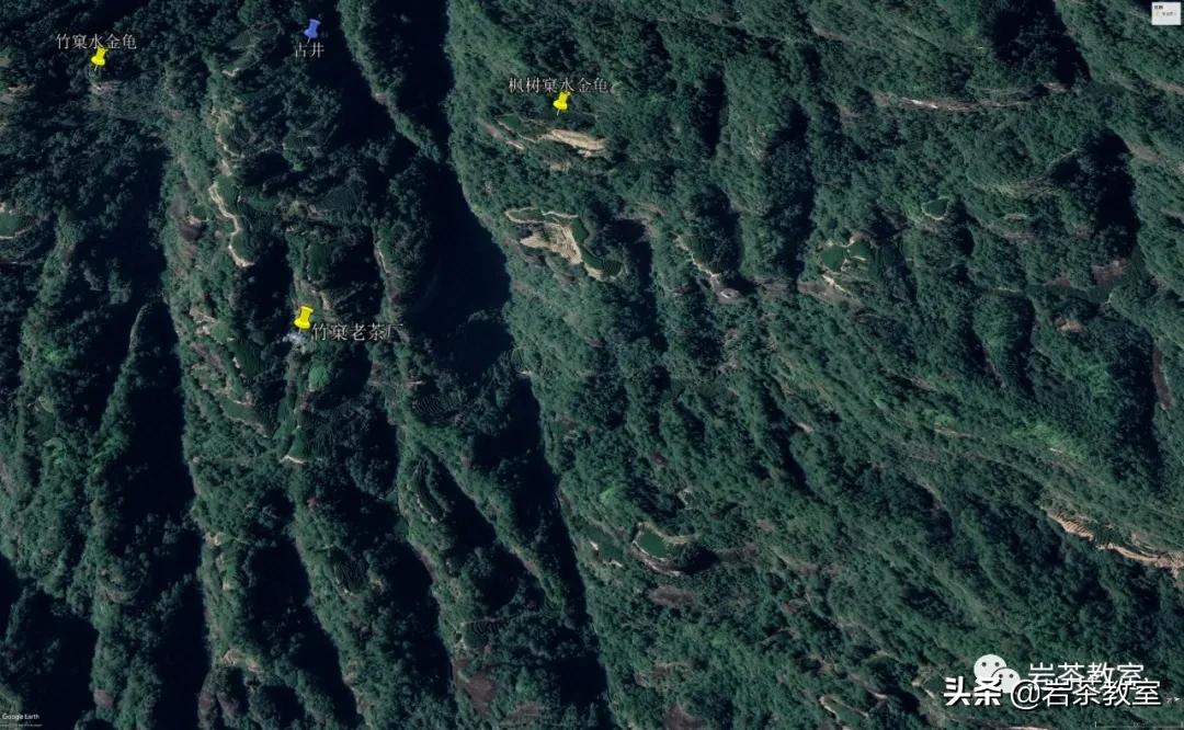 水金龟北斗武夷岩茶,水金龟武夷岩茶简介
