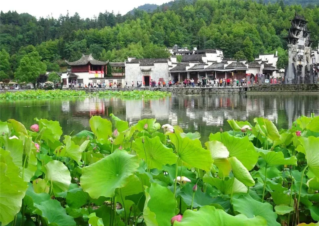 自驾宝藏旅游地分享,老司机自驾游捡漏