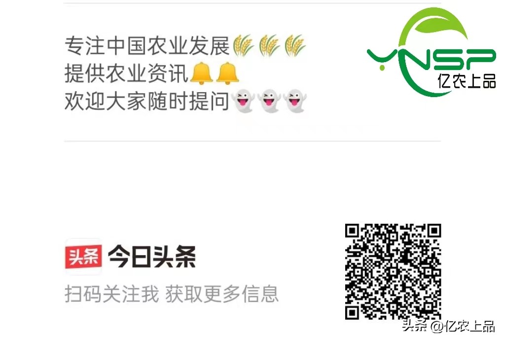 24节气立春从几号开始,24节气立春的意思和含义