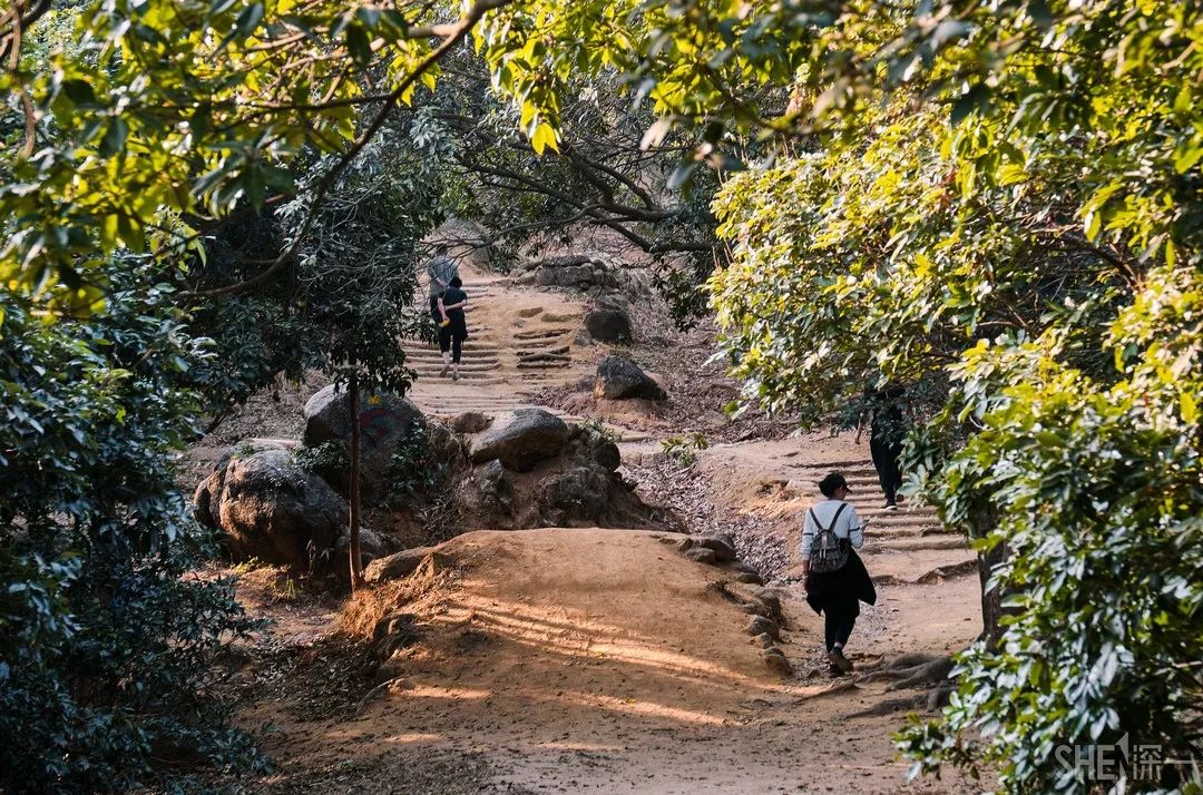 深圳最值得去的十个地方,深圳吃货必去的地方