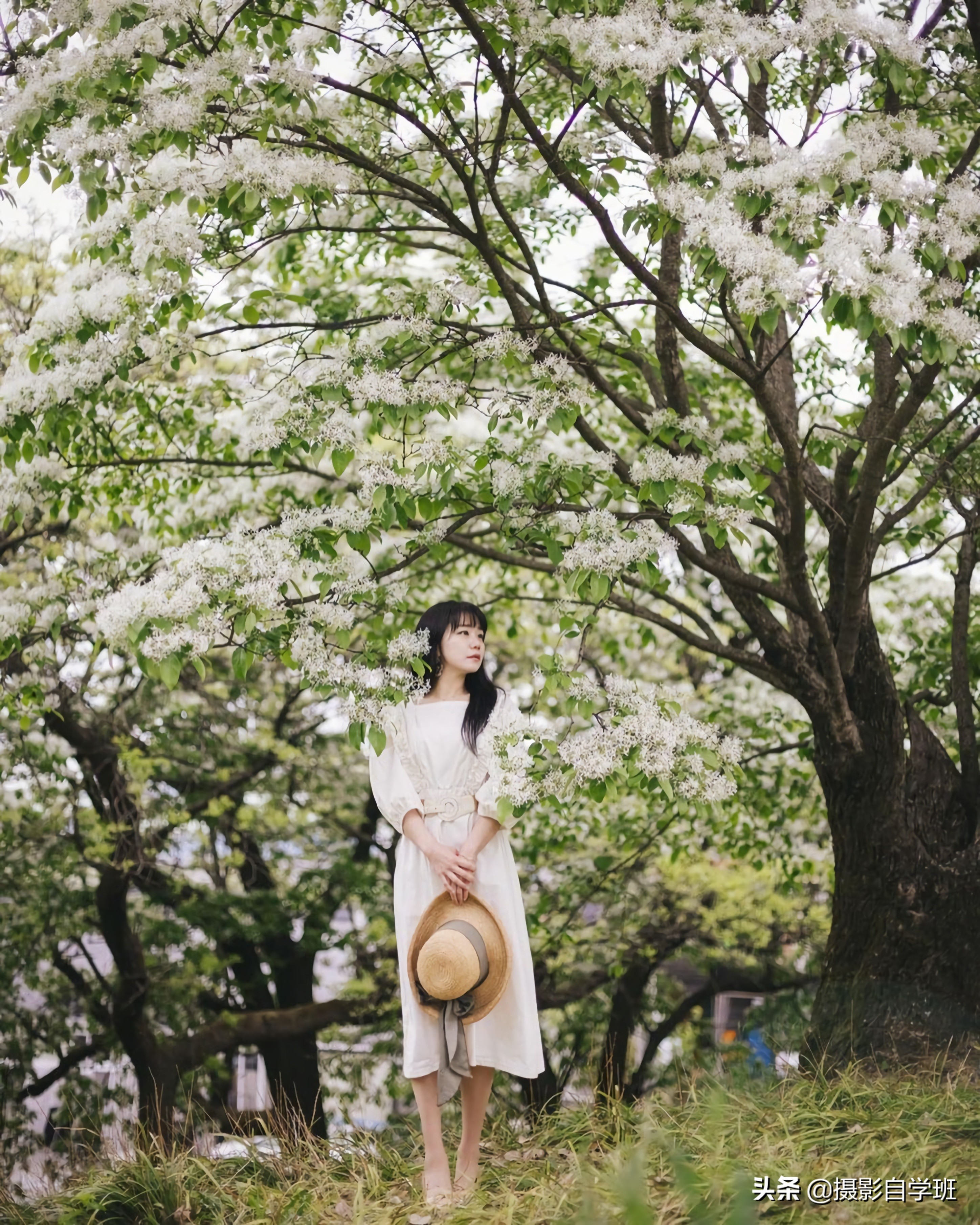 照片要美颜怎么做,拍照想拍好看的技巧