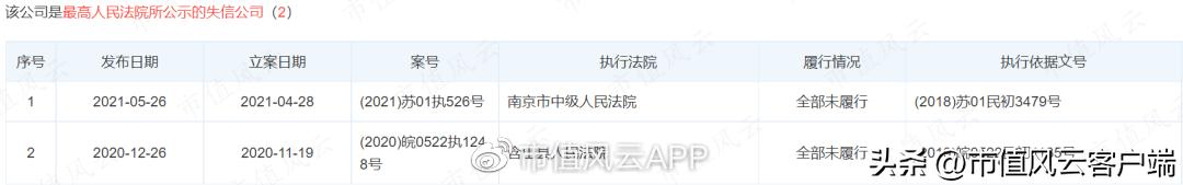 从博士到老赖,吴道洪资本覆灭记:神雾节能保壳战,造假了吗?
