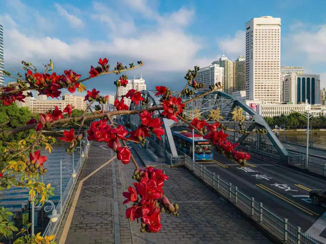 2021广州打卡必去的地方,广州必打卡的十个免费景点