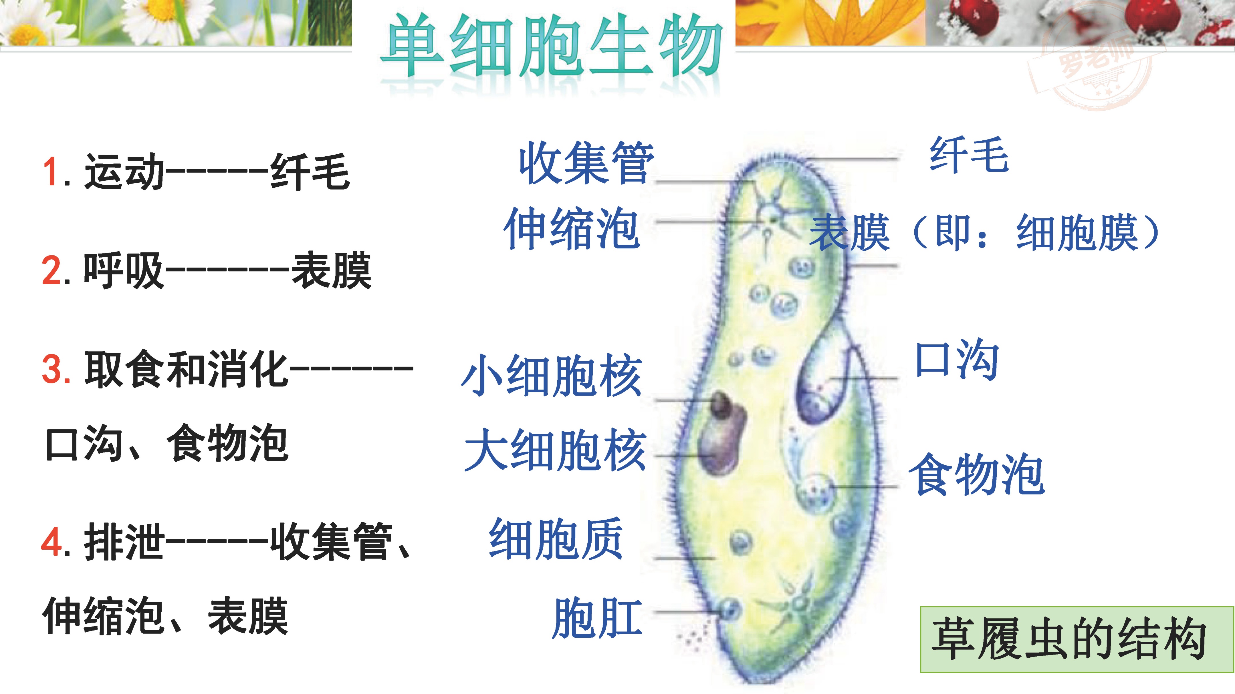 小升初一到六年级复习资料,小升初所有课本