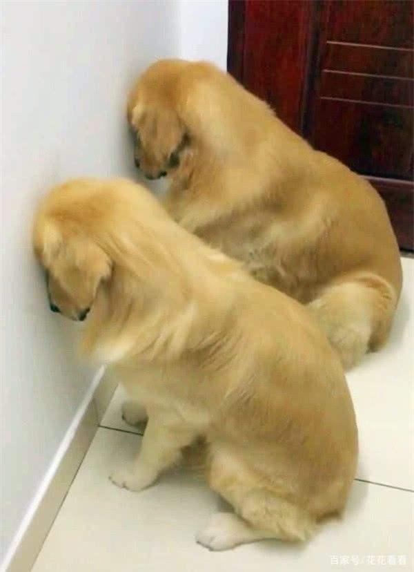 最简单的海龟交易法则视频,5分钟海龟交易法