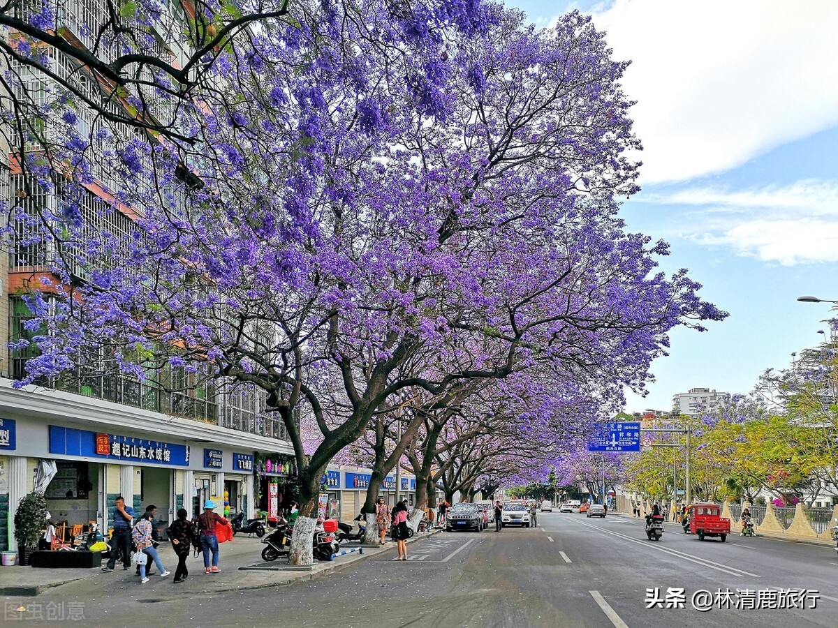 四川养老避暑度假,四川养老的地方