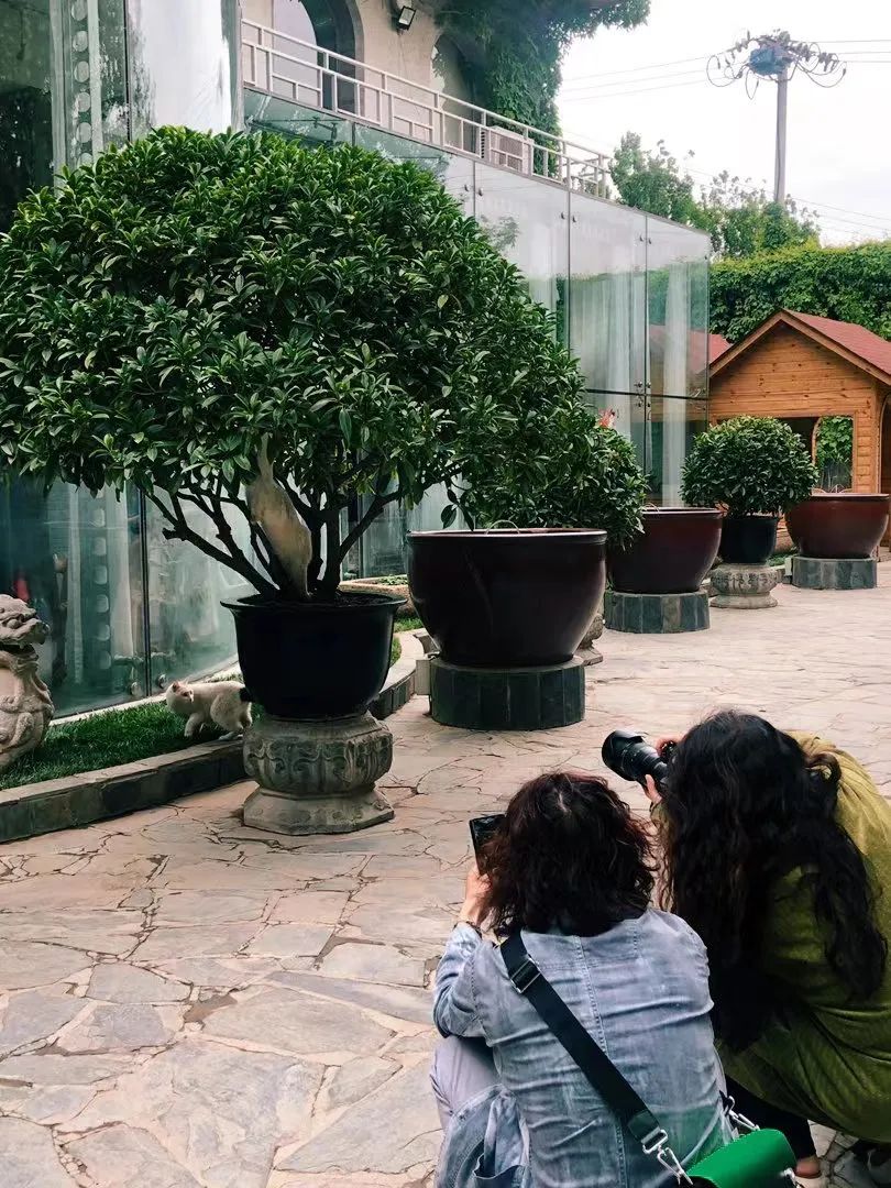 赵明明：上班摸鱼，是我的梦想!