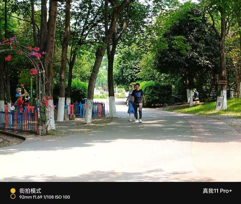 realme真我11pro拍照变焦,realme真我11pro拍照测评