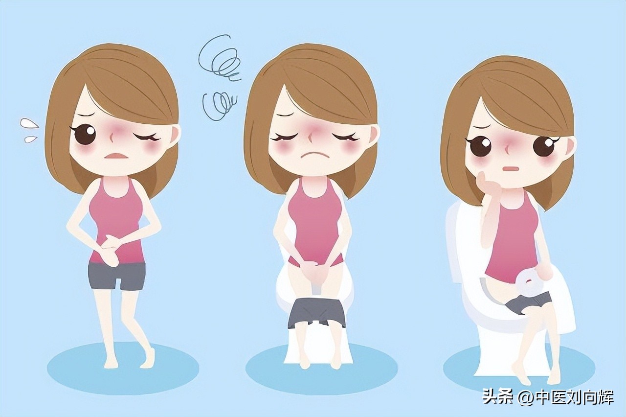 脾胃虚弱肠胃湿热便秘吃什么中药,脾胃虚弱肠道湿热便秘吃什么中药