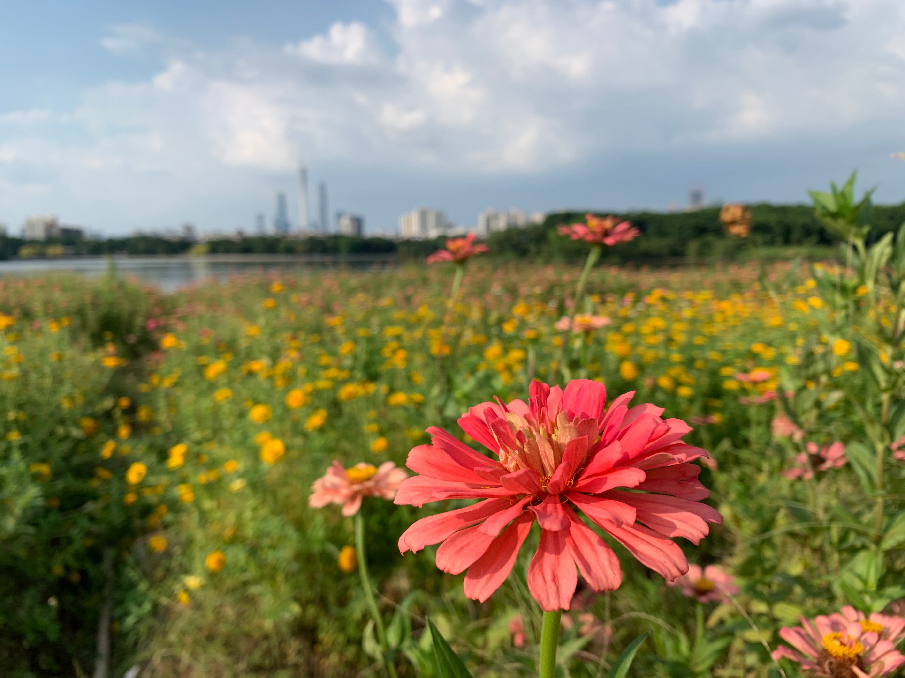 2022海珠湖公园春节游玩,海珠湖湿地公园最佳游玩时间