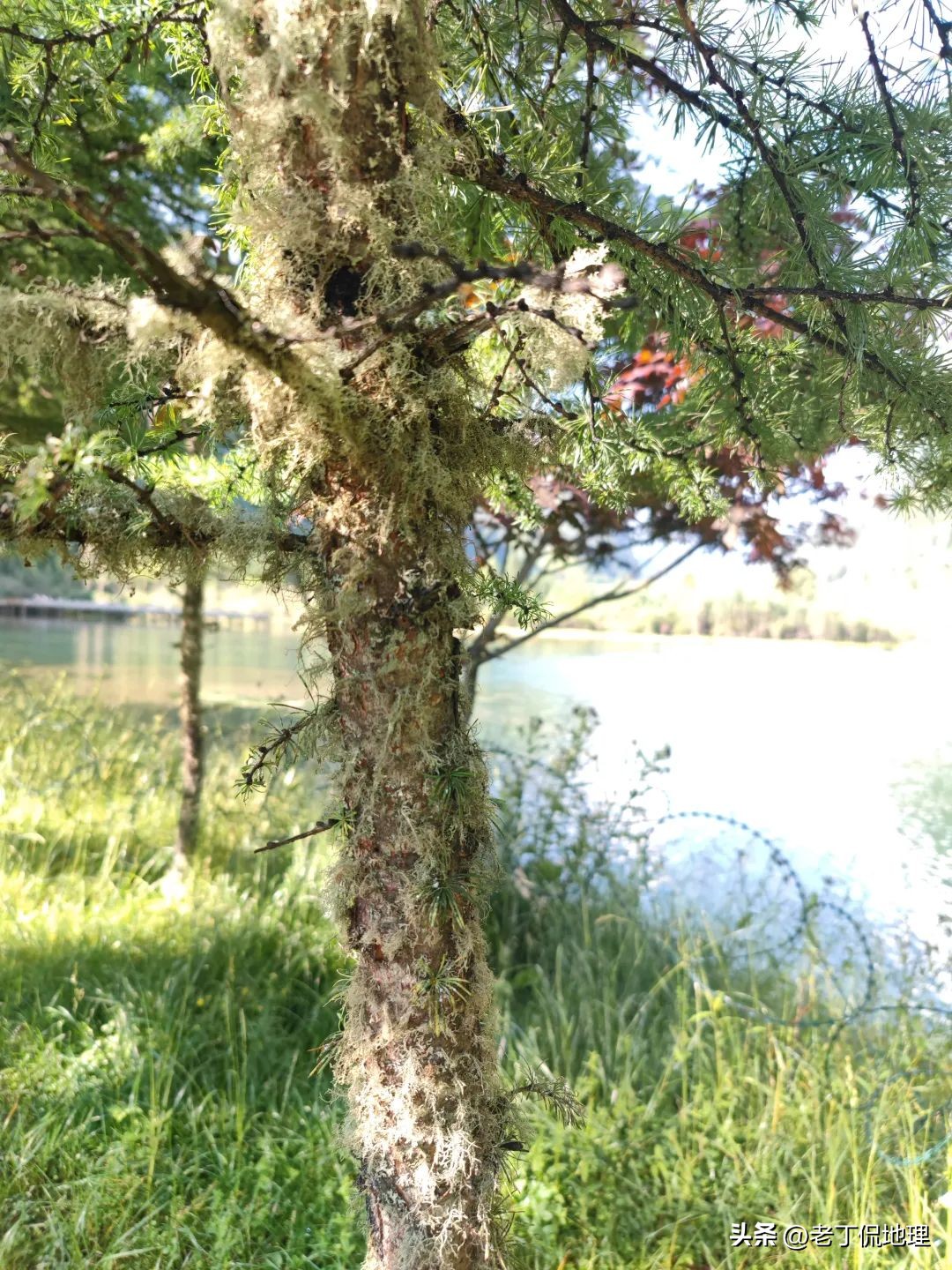 川西大环线马尔康线路推荐吗,川藏317阿里大环线地图及攻略
