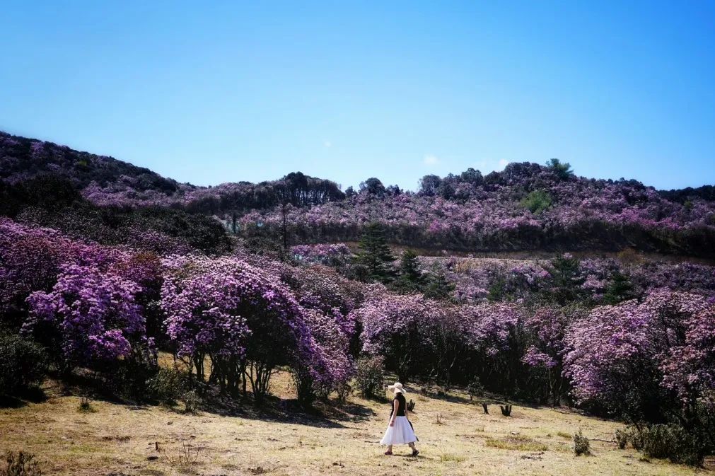 德昌的好地方,德昌有哪些值得去的
